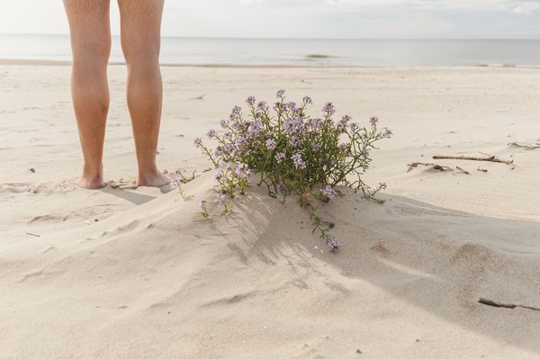 Berck sur mer : un voisinage problématique